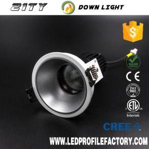 55mm Cutout COB LED Downlight, LED Downlight 3W, LED Downlight 60W