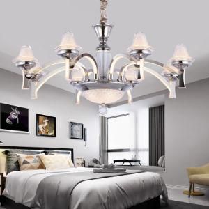 Decorative Ceiling Light Modern Pendant Lamp