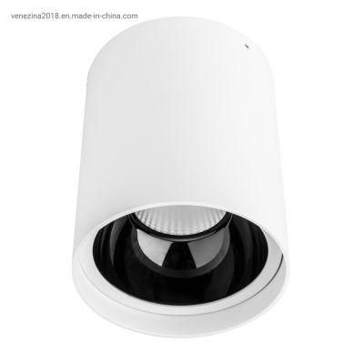 COB 15W/20W/25W LED Surface-Mounted Downlight Lamps Cylindrical Pendant Light Modern Style