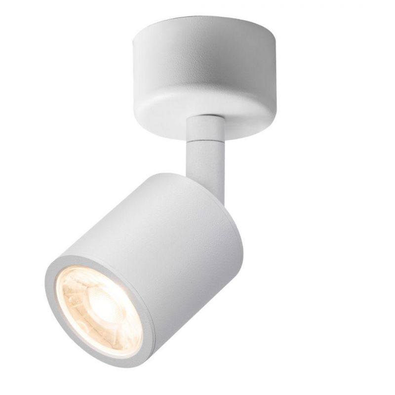 Wall Mounting Adjustable LED Ceiling Light 2020 New Model 12W Track Lamp