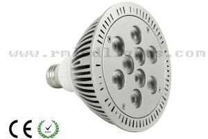 PAR38 LED Light Bulb (RM-PAR38-9D)