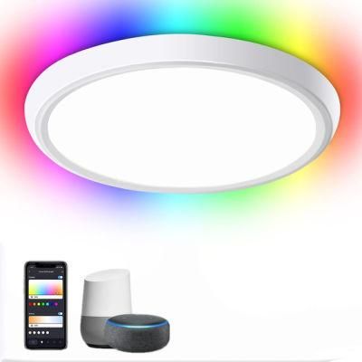 2021 RGB New Flush Fixture LED Motion Color Ceiling Lights