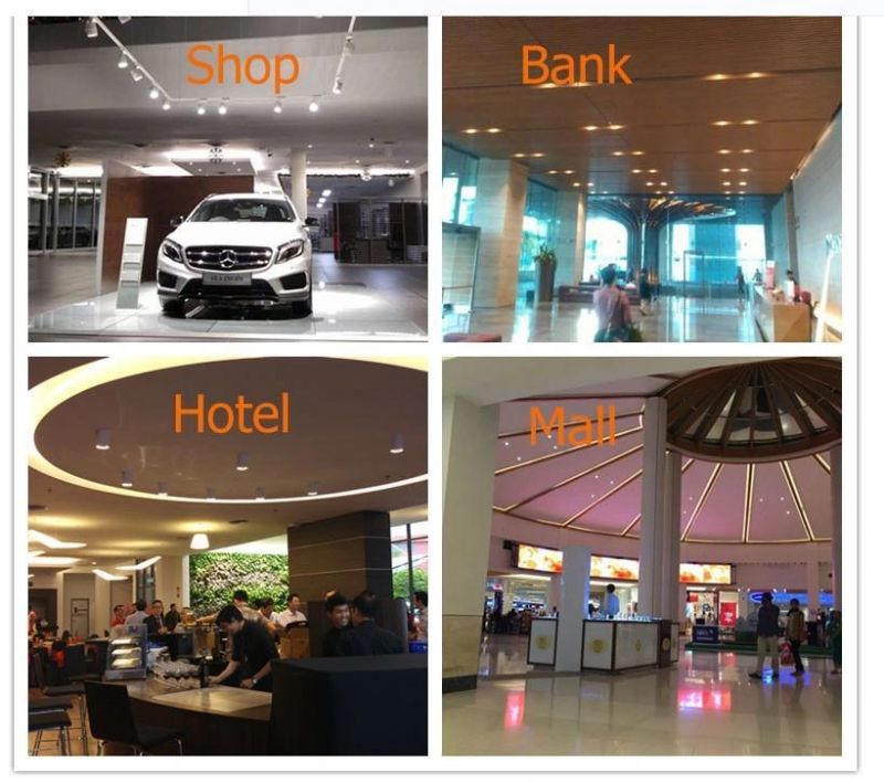 15W 20W 25W 30W 35W Zoomable LED Track Light ETL CRI90 CRI95 CRI97 Mini Narrow Beam Ceiling Zoomable COB LED Focus Spot Track Rail Light Tracklight LED Lights