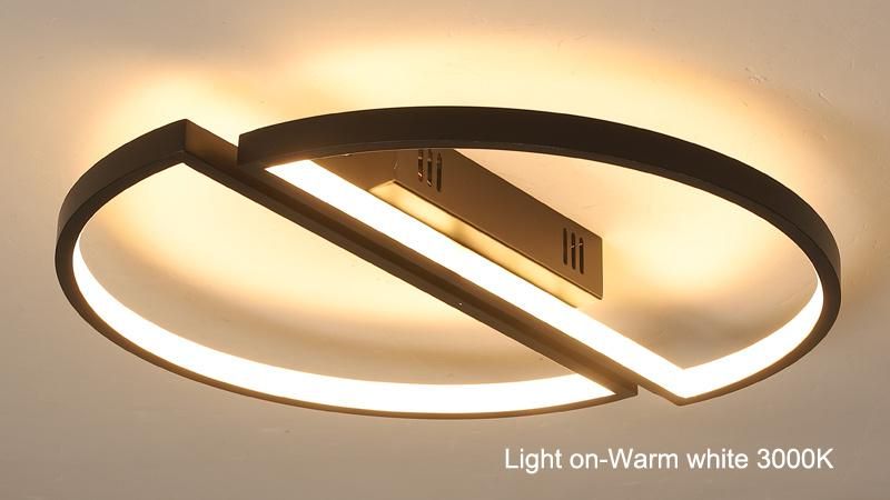 2021 New Modern Smart Flush Mount LED Ceiling Light for Bedroom Villa