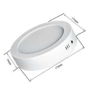 Easy to Install 6W 12W 18W 24W Frameless Surface Mounted SMD Round LED Panel Light