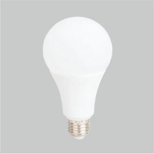 Bulb Light