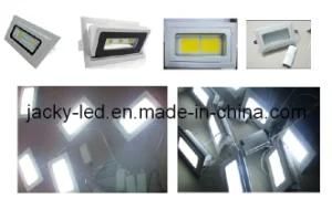 Epistar COB LED Chip 30W LED Down Light (YN-down-30W)