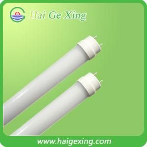 600mm 10W LED Tube Lamp (HGX-T8-60CM)