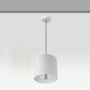 Project 1 Metre 7W 12W 20W 30W Ce LED Ceiling Pendant Light