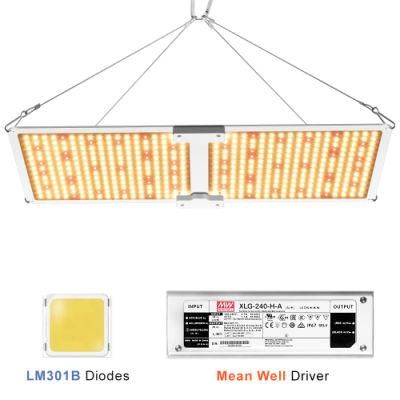 200W Full Spectrum Quantum Panel LED Grow Light for Indoor Plants