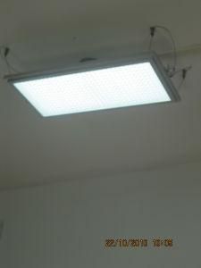 LED Panel Light, 3 Years Warrantee, CE &amp; RoHS
