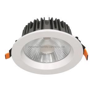 Design Fashion High Quality LED Downlight LED Down Light