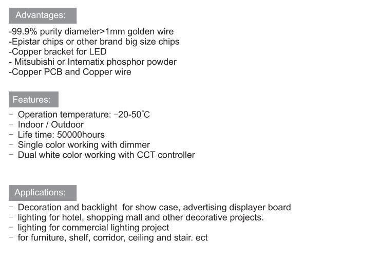 IP20/IP65/IP68 LED Strip Suitable for Indoor Decoration