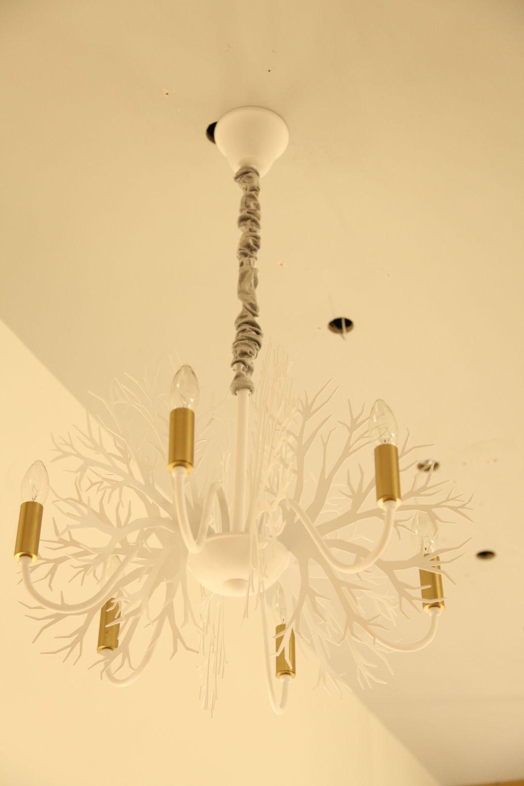 Masivel Factory Creative LED Chandelier Lights Home Decorative Pendant Lighting