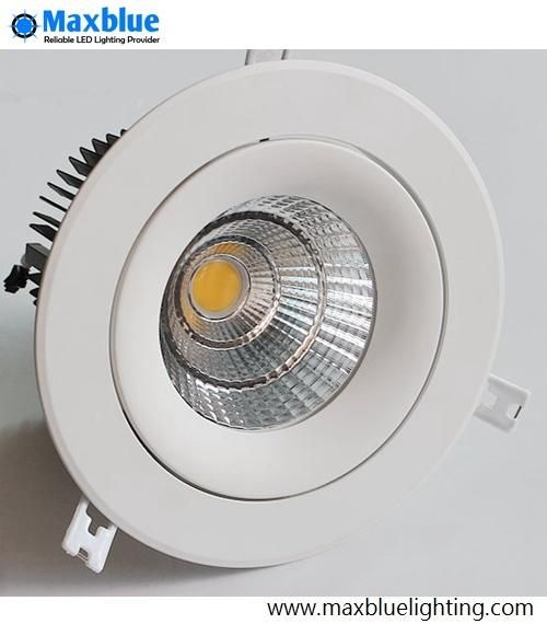 30W CREE COB LED Ceiling Downlight with Meanwell Driver