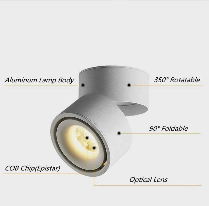 Adjustable and Rotatable Ceiling Surface Include Driver COB LED Recessed Downlight