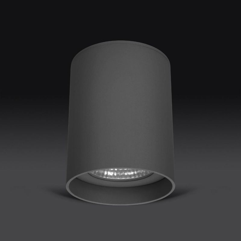 IP65 Outdoor LED Light High Waterproof Surface Mounted LED Downlight COB Light