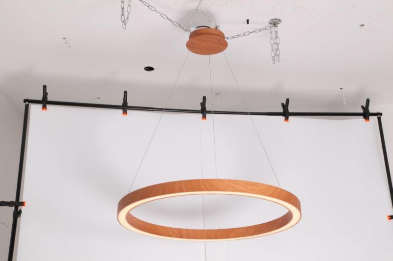 Masivel Lighting Modern LED Decorative Pendant Light Indoor Home LED Chandelier Light