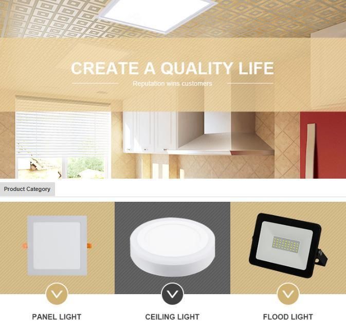 Supplier Square Round Slim 6W-24W Frameless Ceiling Surface LED Panel Light