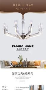 Chandelier Pendant Lamp LED Light