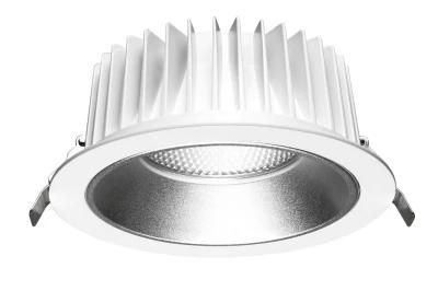 CCT 2700-6500K Matte Surface Economic Series 21 W COB LED Down Light Recessed Downlight