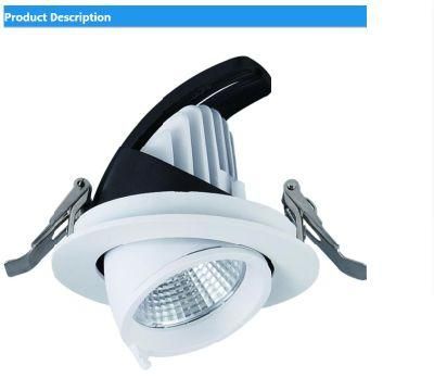 Office Shop White Black Fitting Adjust Ceiling Downlight Indoor LED Dimmable Lighting