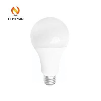 LED Bulb Light A65 A70 15W LED Lighting Bulb