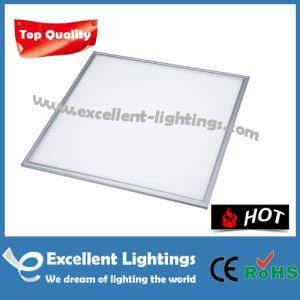 36W Cool White 600 600 LED Panel Light