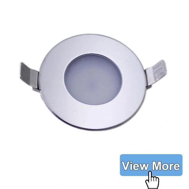 12V Flush Mount LED Downlight White Housing Dual Color Blue White Courtesy Marine Lights for Boats