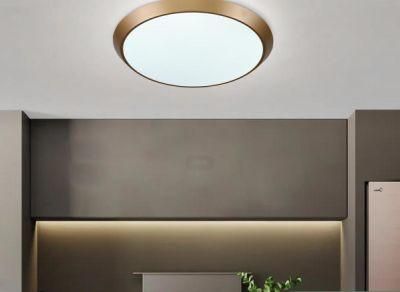 European Modern Style LED Ceiling Light for Bedroom Light Living Room Light Panel Light