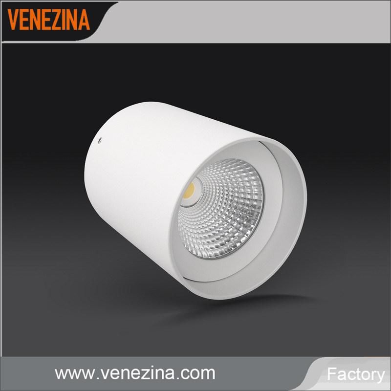 2020 New Designer Cylinder LED Ceiling Surface Mounted Downlight