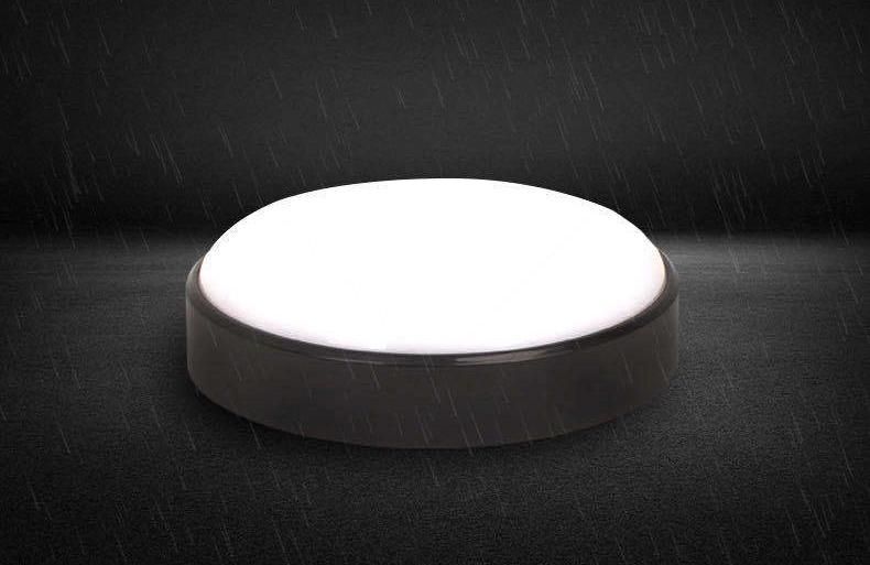 Round Oval Shape LED Ceiling Lamp 12W 15W Tri Proof Outdoor LED Wall Lighting