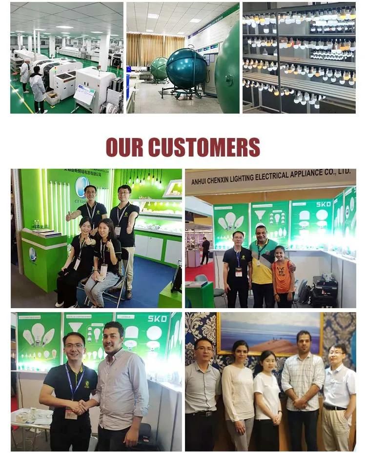 High Quality 24W 36 Degree Anti-Glare COB Downlight with CE