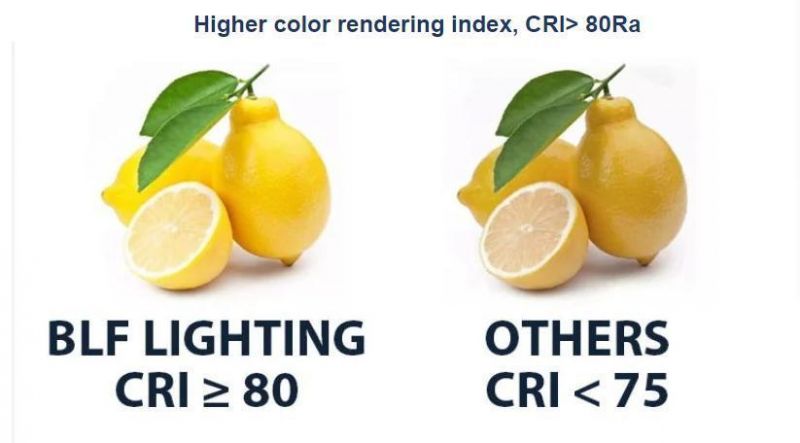 High Quality Lamp 20W 30W LED Light Bulb CE