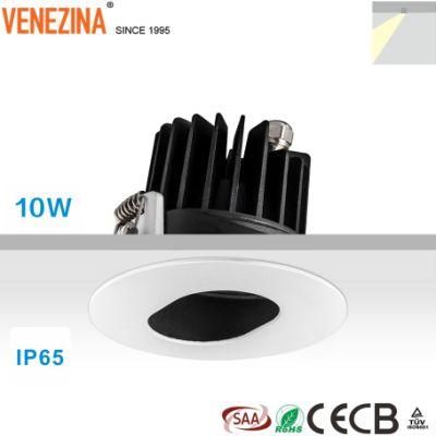 Pin-Hole Waterproof IP65 COB 10W Recessed 5-Year Warranty LED Spotlight