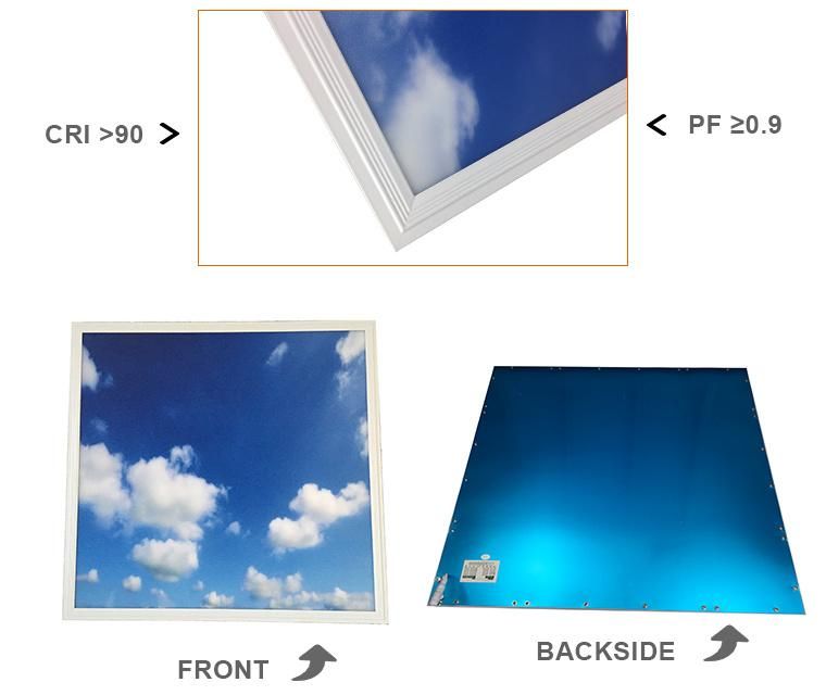 Blue Sky LED Ceiling Surface Light Panel
