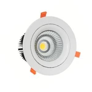 Dimmable LED Downlight with 30W Epistar COB LEDs