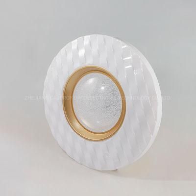 2021 New Mounted Fixture Small Flat LED Ceiling Lamp Ceiling Light