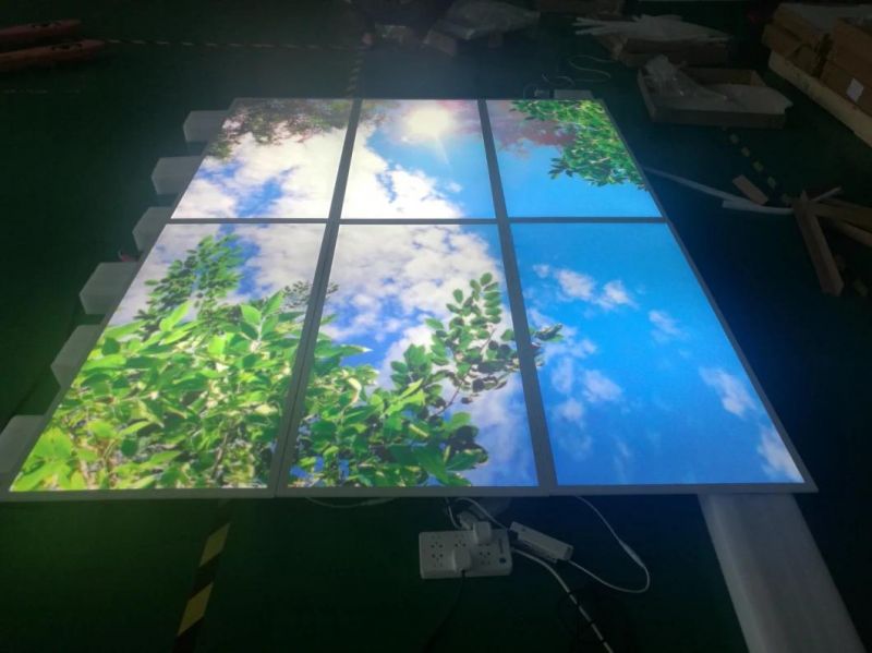 Blue Sky Design Decorative Frameless LED Ceiling Panel Light