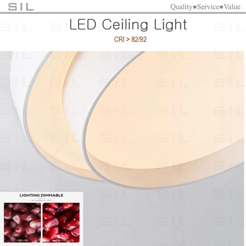 Beautiful Looking LED Ceiling Light Home Lighting Fixtures 24W 36W 50W LED Ceiling Light