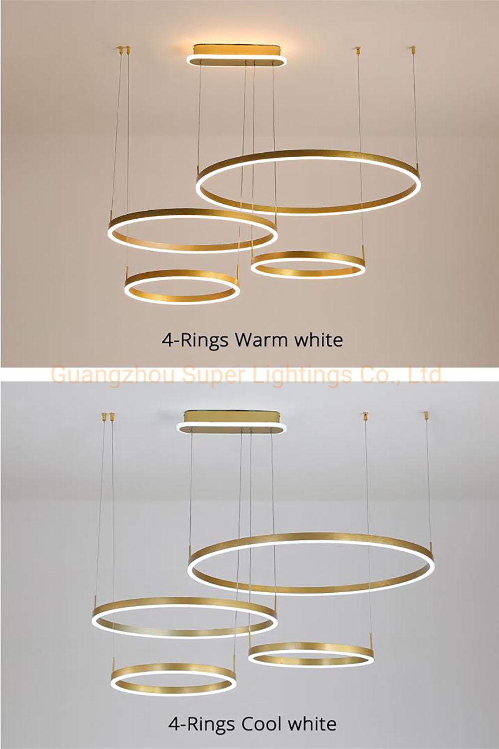 Modern Chandeliers Pendant Lights LED Indoor Ring Lighting