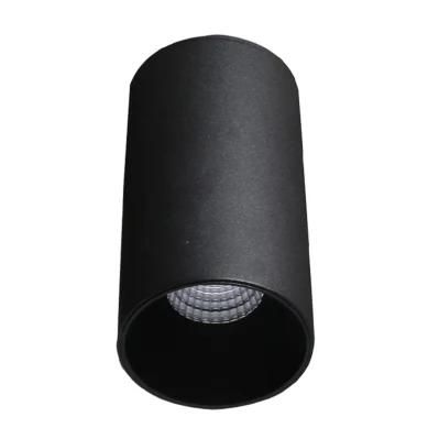 Ce RoHS Certified LED COB Spot Light Ceiling Lamp for Shopping Center Lighting