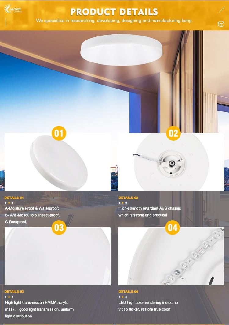 2021 New Flush Remote Strip Colour LED Ceiling Lamp Motion Plastic Ceiling Light