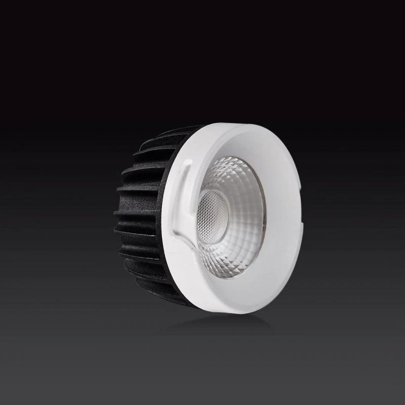 Modern Design Pinhole Fixed COB LED 6W10W LED Downlight