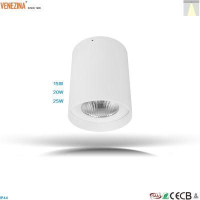 Pendant Installation COB 20W/25W High Power Indoor LED Downlight