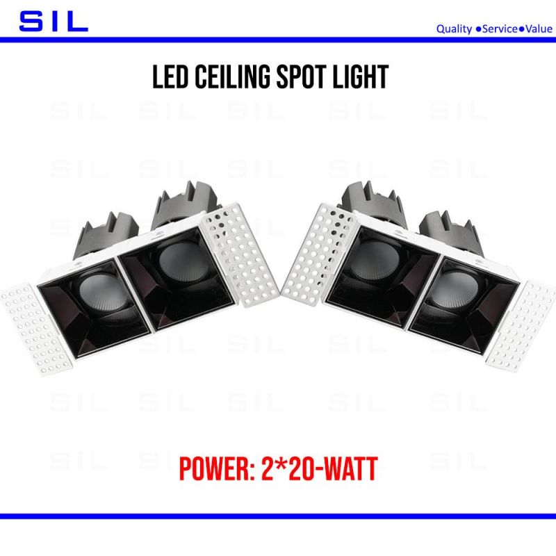 LED Spot Light Direct Factory Selling COB LED Downlight 2X20W 40W Embedded Recessed Spot Light