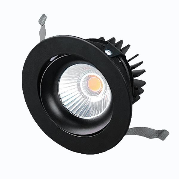 Adjustable Anti Glare LED Lights Spot Lights 1*10W Downlights