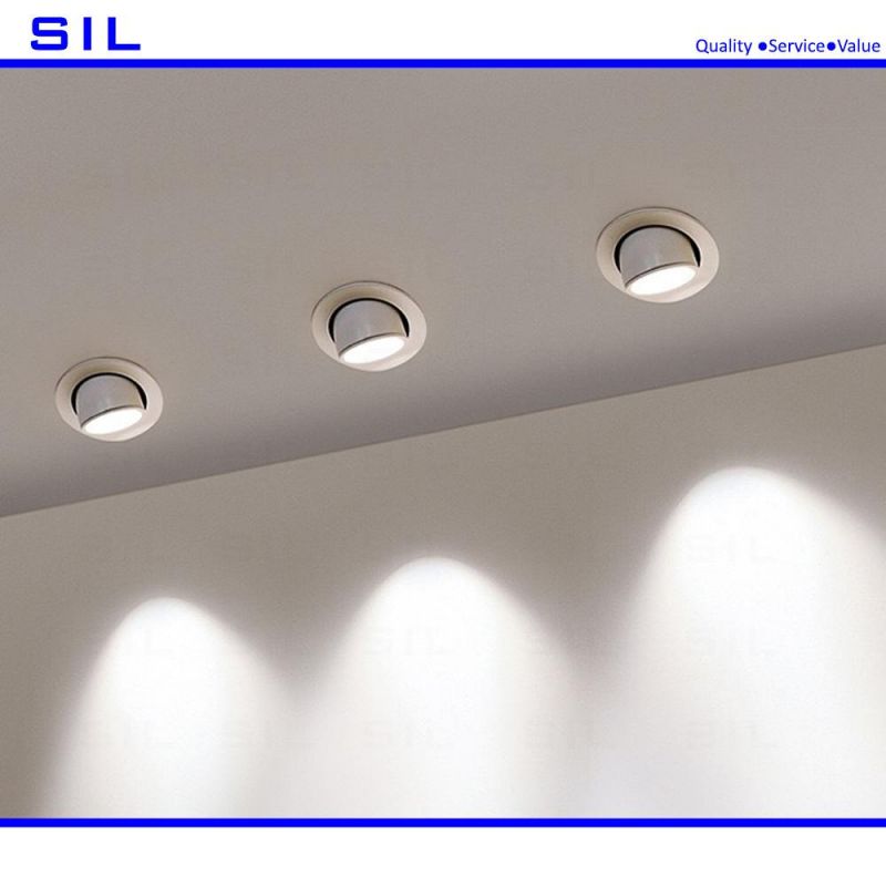 30W COB LED Gimbal Adjustable Recessed Downlight Trunk Light Ceiling Spot Lighting Recessed Downlight