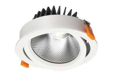 Adjustable High Power 50W Multiple Sizes LED Grille Downlight Building Material LED COB Spotlight