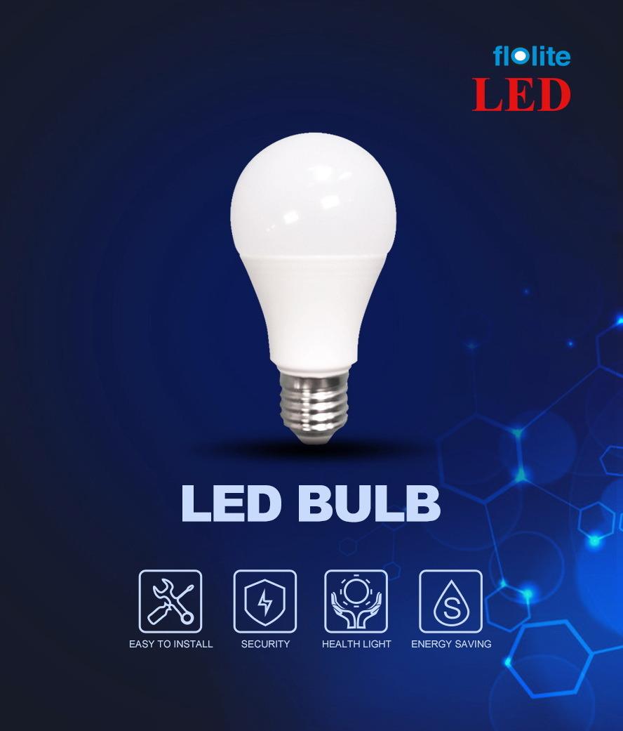 A60 LED Light Bulb